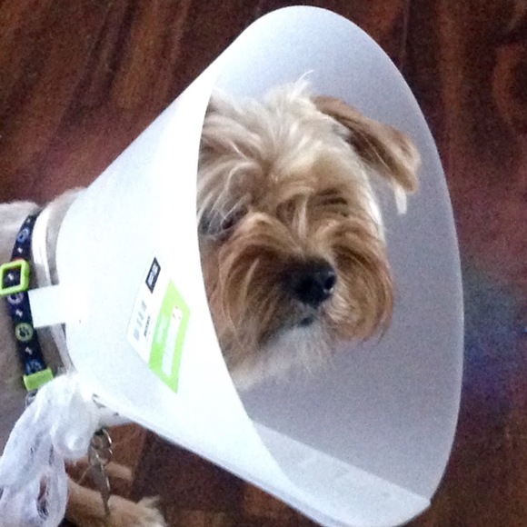 Meet your Posher, Maryann - Picture 1 of 1